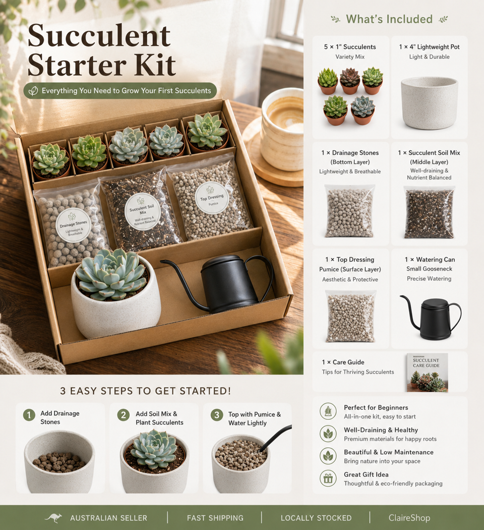 SUCCULENT STARTER KIT