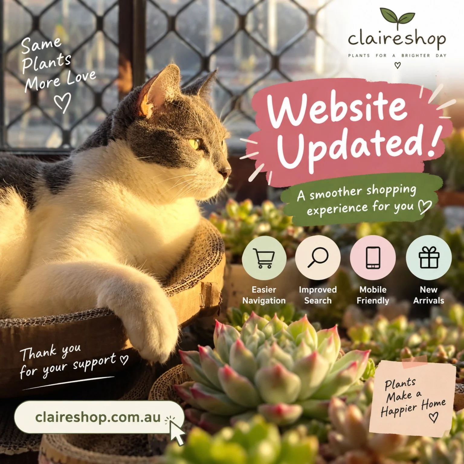 Claire Shop website update featuring Pepper the cat and succulents