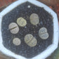 Lithops Random 5-8 plants リトープス (Living Stones) 石頭玉 屁屁 Succulents