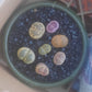 Lithops Random 5-8 plants リトープス (Living Stones) 石頭玉 屁屁 Succulents