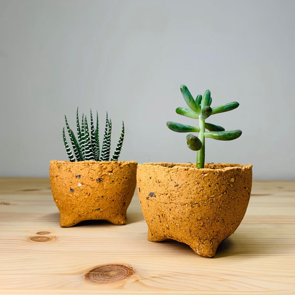 Clay Ceramic pots for succulent Cactus Flower a Claire shop australia